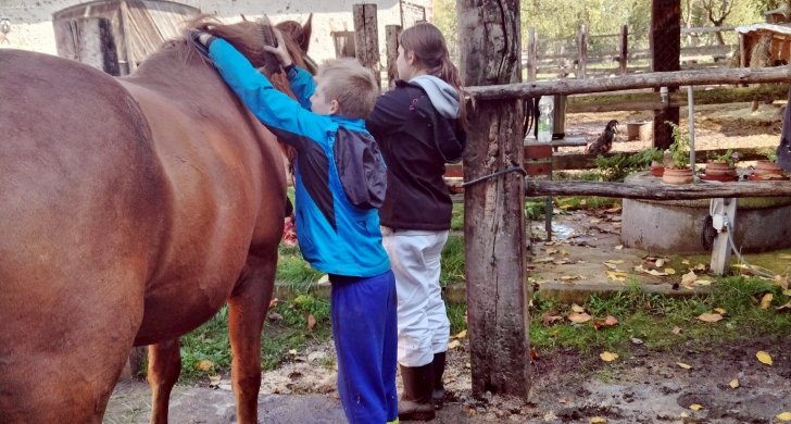 chmelistna zviratka a deti.jpg
